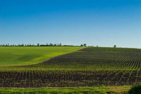 Grüne Frühlingsfelder Und Gärten Hügelige Landschaft Mit Ackerland — Stockfoto