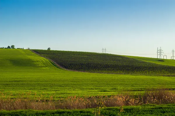 Grüne Frühlingsfelder Und Gärten Hügelige Landschaft Mit Ackerland — Stockfoto