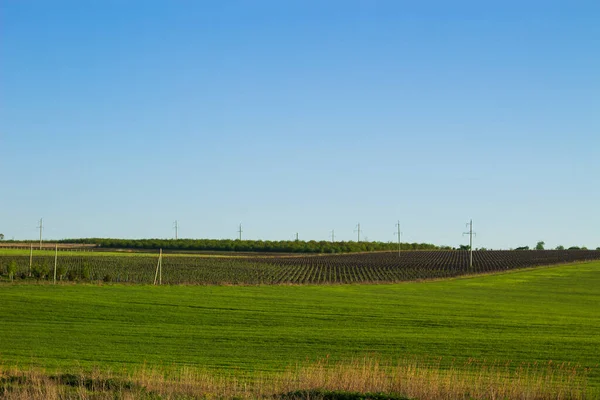 Champs Jardins Verts Printemps Paysage Montagneux Des Terres Agricoles — Photo