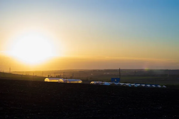 Silhouetten Von Gewächshäusern Bei Sonnenuntergang Schöne Hintergrundthematik Von Naturprodukten Gemüse — Stockfoto