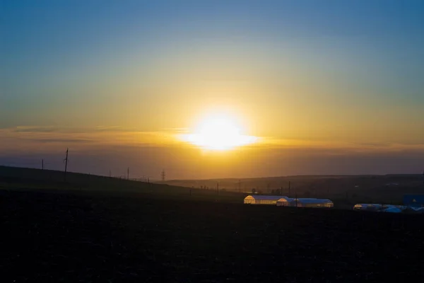 Silhouetten Van Kassen Bij Zonsondergang Mooie Achtergrond Thema Van Natuurlijke — Stockfoto