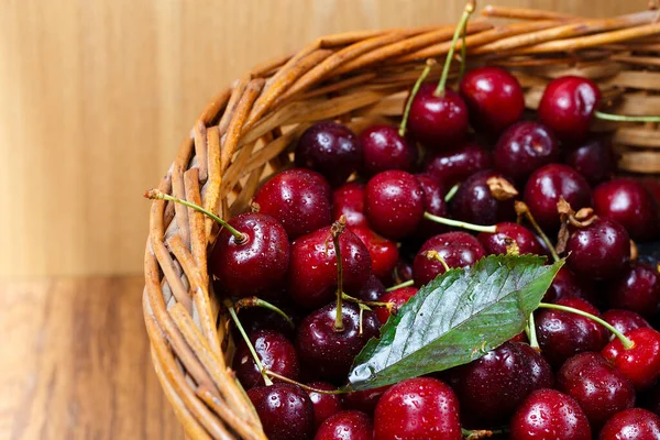 Sepet hasat döneminde kirazlar