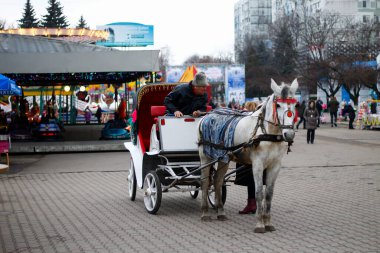 4 Ocak 2018, Balti, Moldova. Ulusal şapkalı at arabasında bir adam.