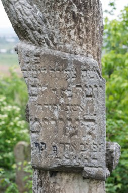 Balti (Beltsy), Moldova, 9 Mayıs 2018 Eski terk edilmiş Yahudi mezarlığı