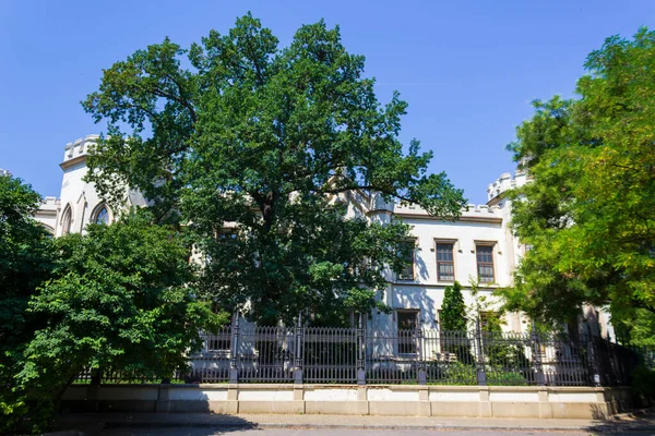ウクライナのオデッサ2018年7月7日シャーの宮殿 宮殿は1851年から1852年にかけてネオゴシック様式で建てられました — ストック写真