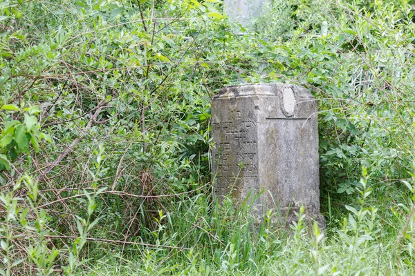 Balti Beltsy Moldavië Mei 2018 Oude Verlaten Joodse Begraafplaats — Stockfoto