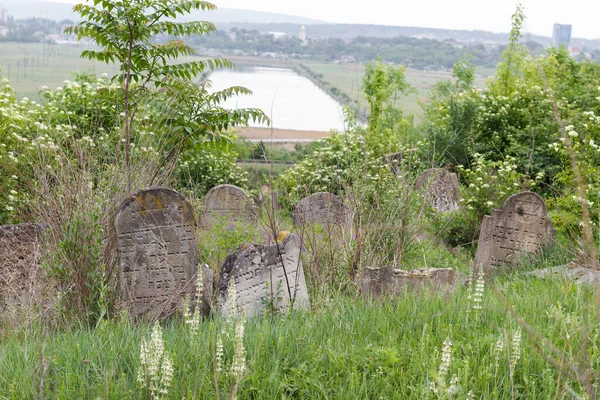 バルティ ベルツィー モルドバ 2018年5月9日古い放棄されたユダヤ人墓地 — ストック写真