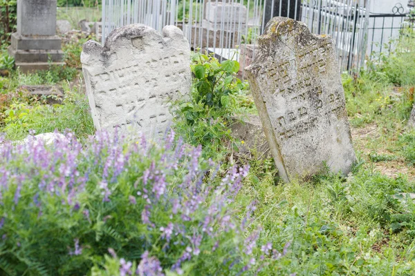 バルティ ベルツィー モルドバ 2018年5月9日古い放棄されたユダヤ人墓地 — ストック写真