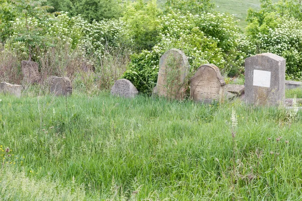 Balti Beltsy Mołdawia Maja 2018 Stary Opuszczony Cmentarz Żydowski — Zdjęcie stockowe