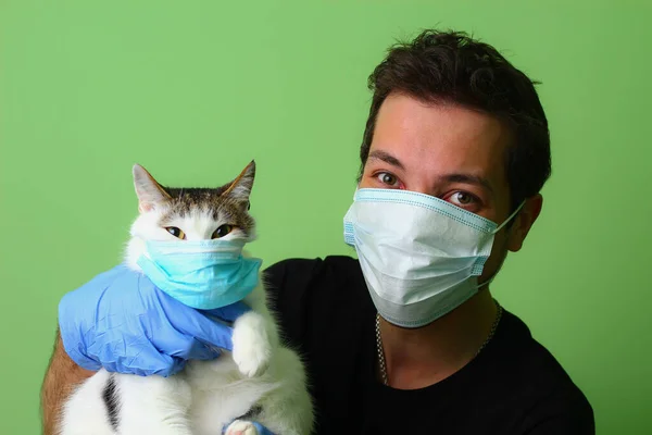 Cerrahi maske takmış bir adamın elindeki kedi. Yeşil arka plan Sevgi ve evcil hayvan bakımı kavramı