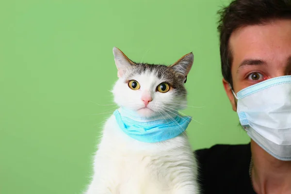The cat in the hands of a man dressed in a surgical medical mask. Green background The concept of love and care for pets