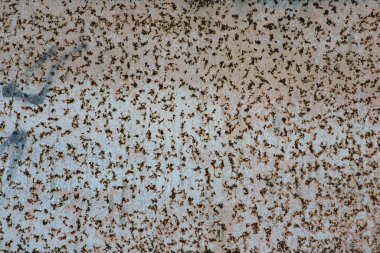 Yüzeydeki pas ilginç bir kalıp oluşturuyor. Arkaplan