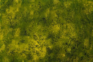 Beton duvarın boyanmış dokusu, arka plan. Soyut kopyalama uzayı. Kirli yeşil renk