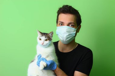 Cerrahi maske takmış bir adamın elindeki kedi. Yeşil arka plan Sevgi ve evcil hayvan bakımı kavramı