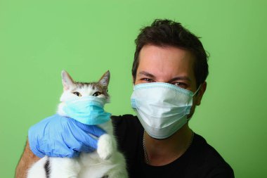 Cerrahi maske takmış bir adamın elindeki kedi. Yeşil arka plan Sevgi ve evcil hayvan bakımı kavramı