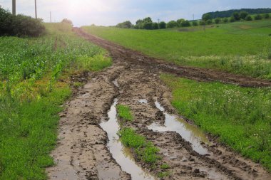 Yağmurdan sonra köye giden ıslak toprak yol. Ayarlanmış arkaplan.