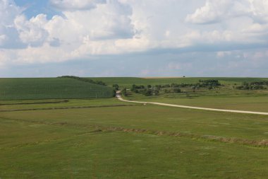 Güneşli bir yaz gününde yeşil tepe tarlası. Ayarlanmış arkaplan.