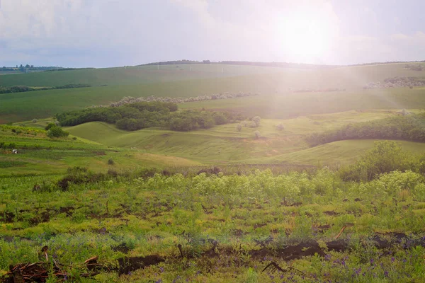 Campo Montanhoso Verde Dia Ensolarado Verão Contexto Afinado — Fotografia de Stock