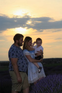 Siluet güneşin önünde çekildi. Lavanta tarlasında gün batımında bir aile. Yaşam biçimi.