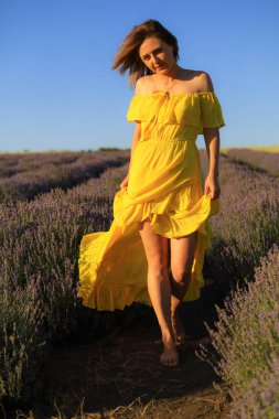 Gün batımında lavanta tarlasında temiz hava ve aromanın tadını çıkaran mutlu, genç ve mütevazı bir kadın. Özgürlük ve doğa ile birlik kavramı. Tonlanmış bir geçmiş. Yaşam tarzı duyguları