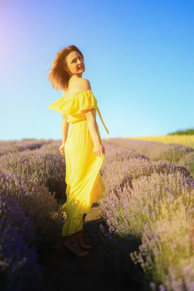 Happy young pretty modest smiling woman enjoying fresh air and aroma at sunset in a lavender field. The concept of freedom and unity with nature. Toned background. Lifestyle emotions