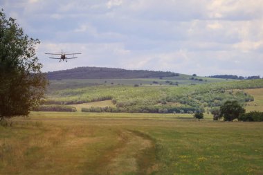 Havaalanında pervane yaklaşımlı klasik eski model bir uçak..
