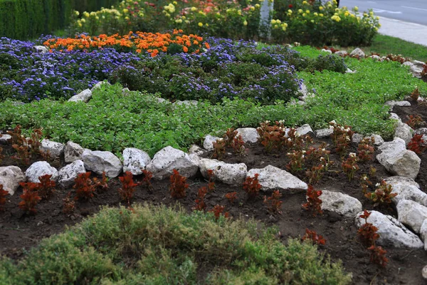 Een Prachtige Stadsbloemenbed Met Bloemen Groene Technologieën Gebruiken Kwaliteit Van — Stockfoto