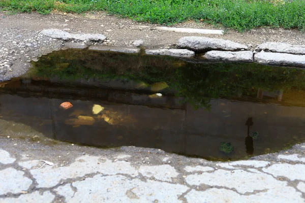 A puddle of oil. Environmental pollution and bad ecology. Abstract background.