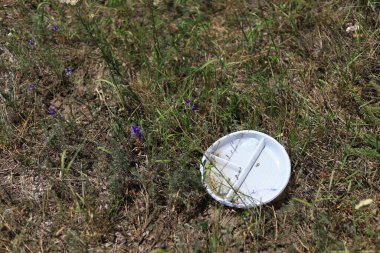 Doğadaki bir piknikten sonra atılan çöpler. Plastik tek kullanımlık tabak.