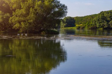 Gün batımında nehrin manzarası. Tonlanmış arkaplan seçici odağı.