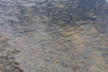 Temiz ve şeffaf nehir suyu, gökyüzünün yansıması. Seçici odaklanma. İyi ekoloji çevre kavramı