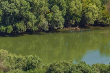 Yürüyüş yapan bir yürüyüşçünün gözlerinden nehrin büyük bir tepenin ya da dağın manzarası. Yeşil orman doğası geçmişi. Seçici odak.