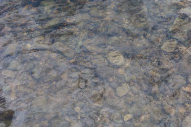 Temiz ve şeffaf nehir suyu, gökyüzünün yansıması. Seçici odaklanma. İyi ekoloji çevre kavramı