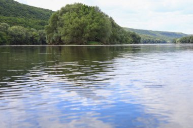 Çok güzel nehir suyu yüzeyi. Doğal yeşil arka plan. Seçici odak