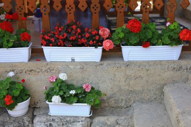 Çok güzel dekoratif çiçekleri olan farklı saksılar.