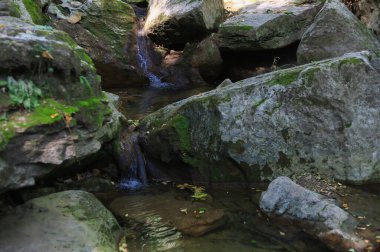 Doğu Avrupa 'nın vahşi kayalık doğası, güzel manzaralı arka plan