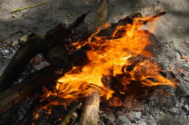 Gezintide turist kamp ateşi, yakın plan, fotokopi alanı