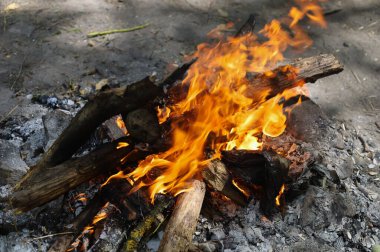 Gezintide turist kamp ateşi, yakın plan, fotokopi alanı