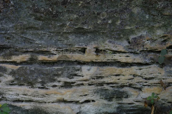 Ruwe Getextureerde Karstkalksteen Oude Bodem Van Zee Achtergrond — Stockfoto