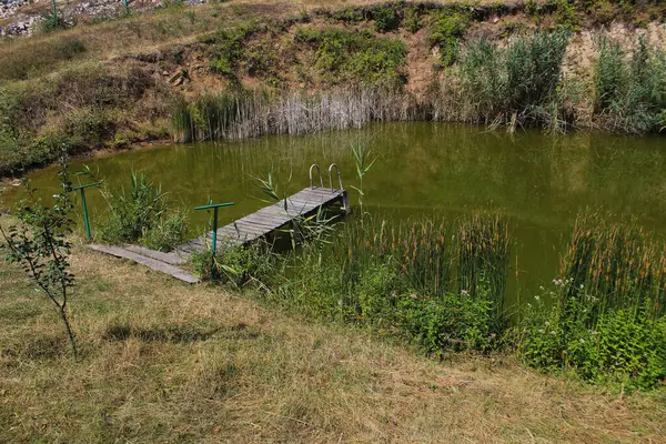 Petit Lac Avec Eau Verte Pour Pisciculture Contexte — Photo