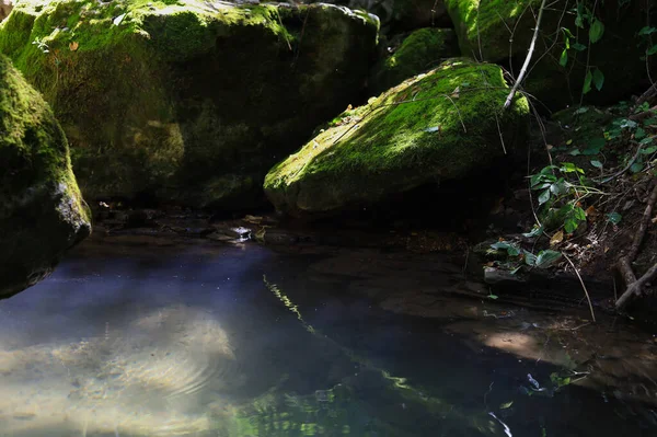 Naturaleza Rocosa Salvaje Con Arroyo Fondo Agua Principal Caminata —  Fotos de Stock