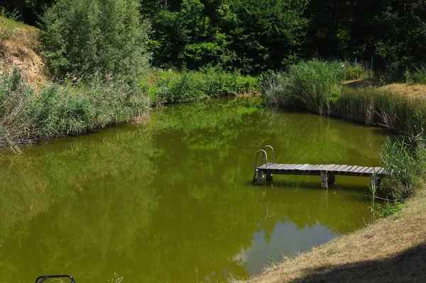 Petit Lac Avec Eau Verte Pour Pisciculture Contexte — Photo