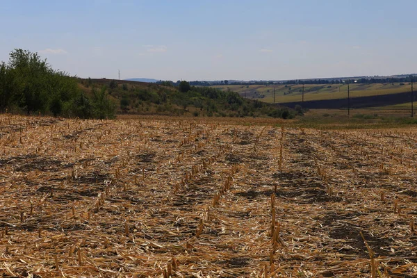 Rustikaler Landwirtschaftlicher Hintergrund Auf Offenem Feld Außerhalb Der Stadt — Stockfoto