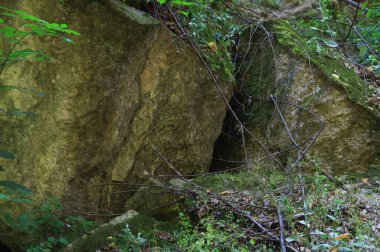 Doğu Avrupa 'nın vahşi kayalık doğası, güzel manzaralı arka plan
