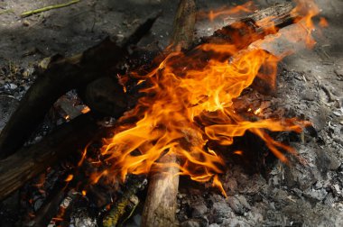Gezintide turist kamp ateşi, yakın plan, fotokopi alanı