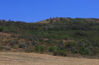 Şehrin dışındaki açık bir alanda kırsal tarım geçmişi