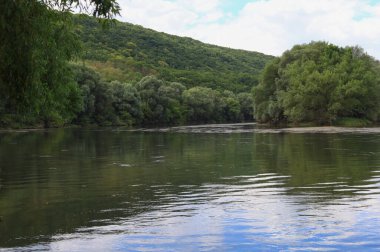 Çok güzel nehir suyu yüzeyi. Doğal yeşil arka plan. Seçici odak