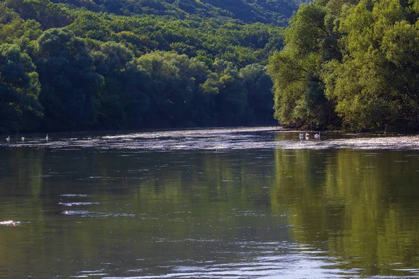 Zeer Mooie Rivier Water Oppervlak Natuurlijke Groene Achtergrond Selectieve Focus — Stockfoto