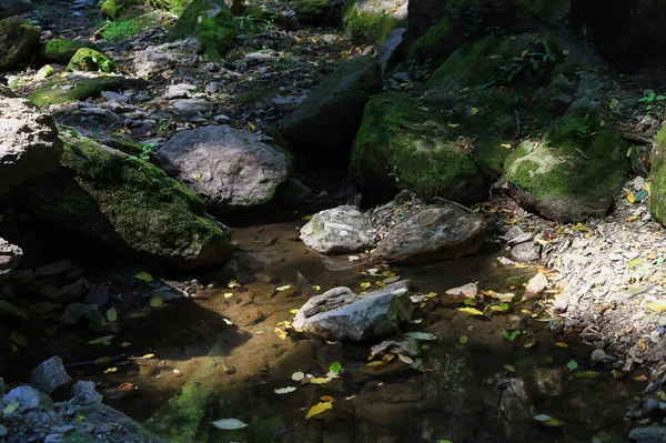 東ヨーロッパの野生の岩の性質 美しい風景の背景 — ストック写真