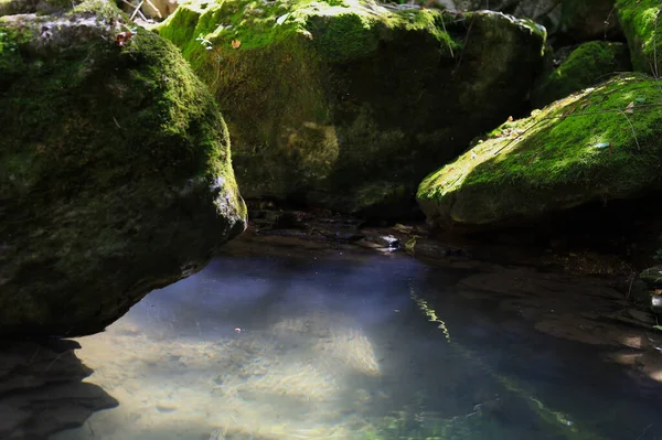 Wilde Felsige Natur Mit Einem Bach Hintergrund Wasser Ist Die — Stockfoto